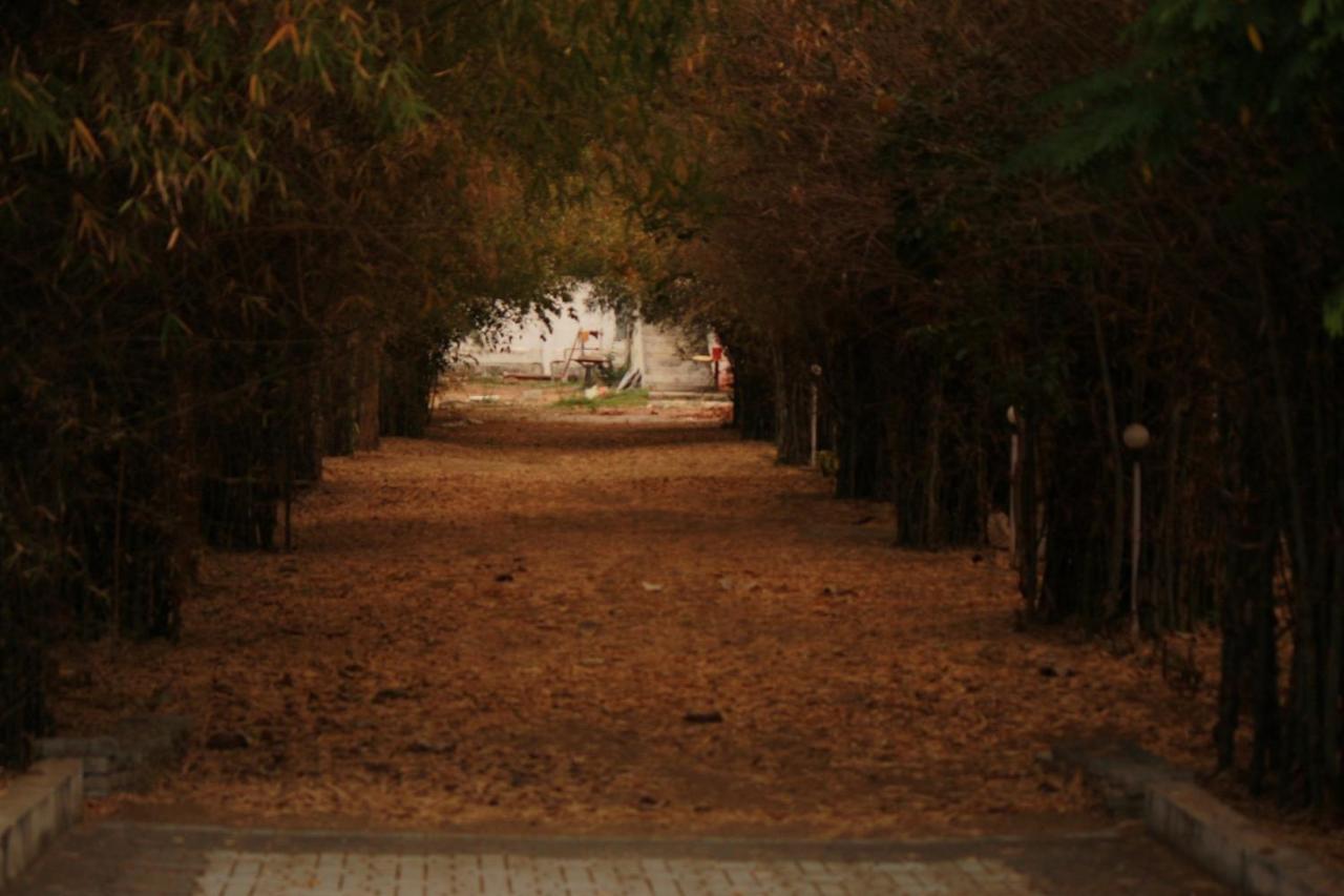 Vividearth Resorts Bandipūr מראה חיצוני תמונה